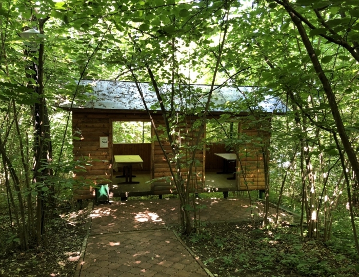 Мангальные беседки - Отель «Orchestra Ока Спа Резорт»